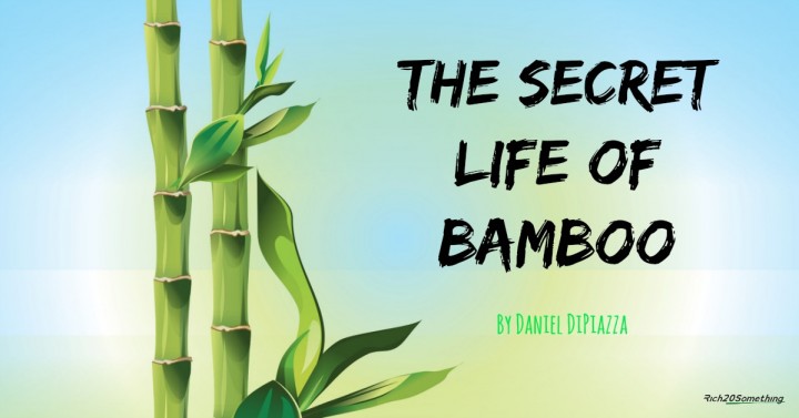 The Secret Life of Bamboo